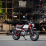 MONKEY 19-24 Race RS-3 Stainless Full Exhaust, w/ Stainless Muffler