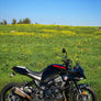 KATANA 2020 ALPHA Stainless Slip-On Exhaust, with Stainless Muffler
