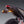 LED Turn Signals_Yoshimura Frame