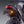 Micro Turn Signal_Yoshimura Frame