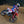 CRF450R/RX 2021-2024 / CRF450R-S 2023-2024 RS-12 Stainless Full Exhaust, w/ Stainless Muffler