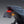 Micro Turn Signal_Yoshimura Frame